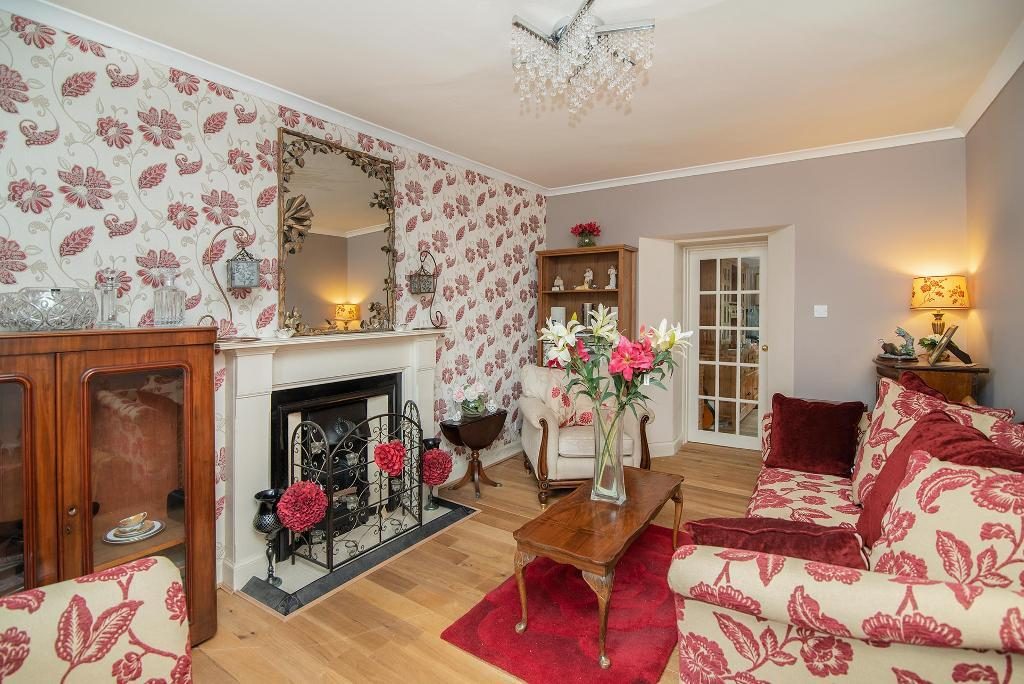 2533081.jpg