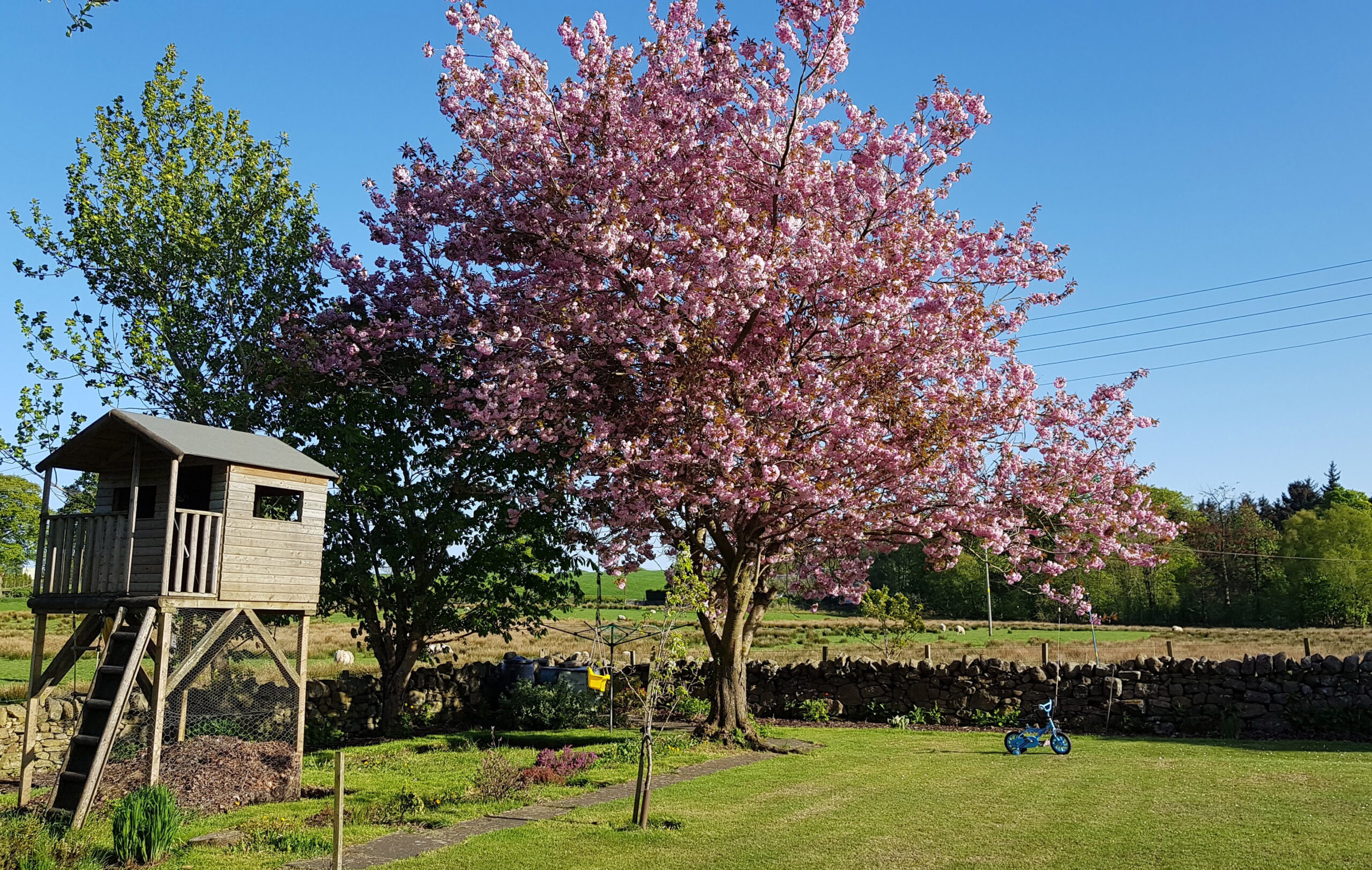 Bridgecastle, Torphichen Halliday Homes