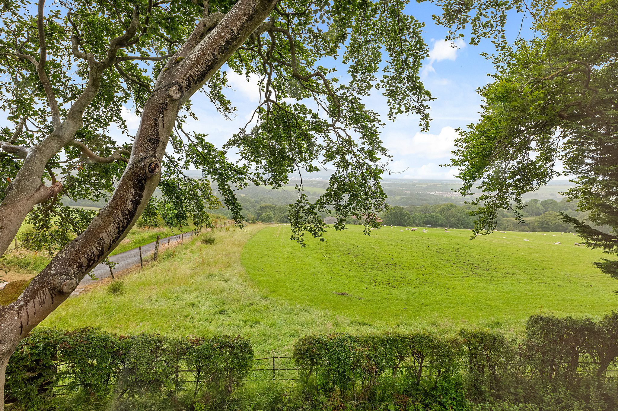 Bowden Springs House, Linlithgow, EH49 - Halliday Homes