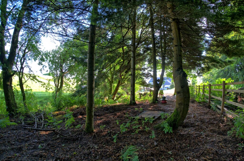 DSCF5905_6_7_easyHDR