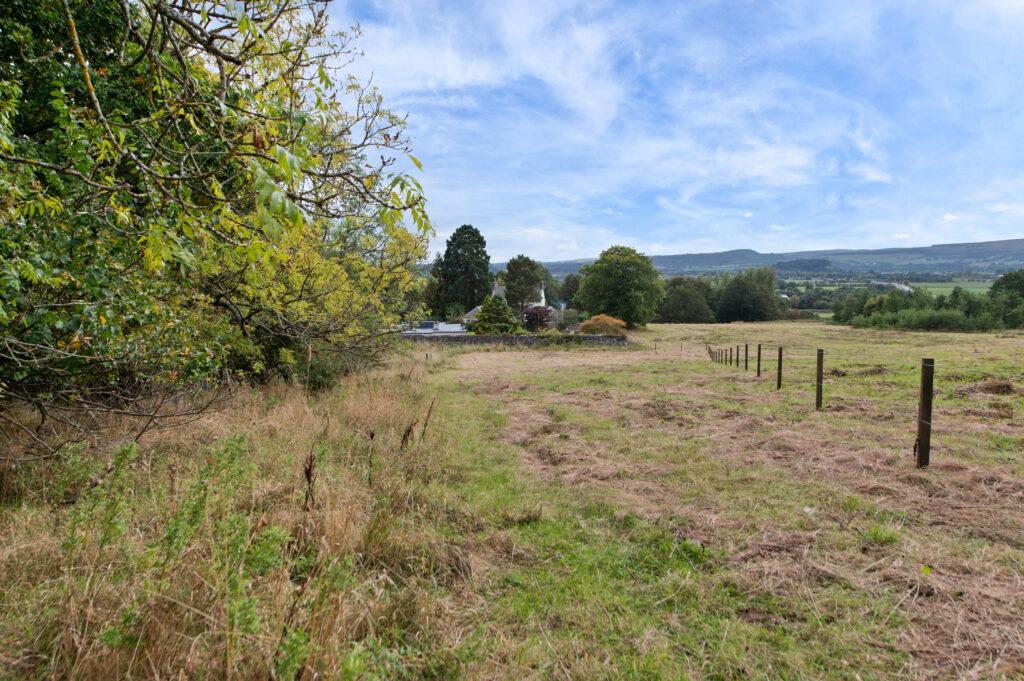 PLOT 1