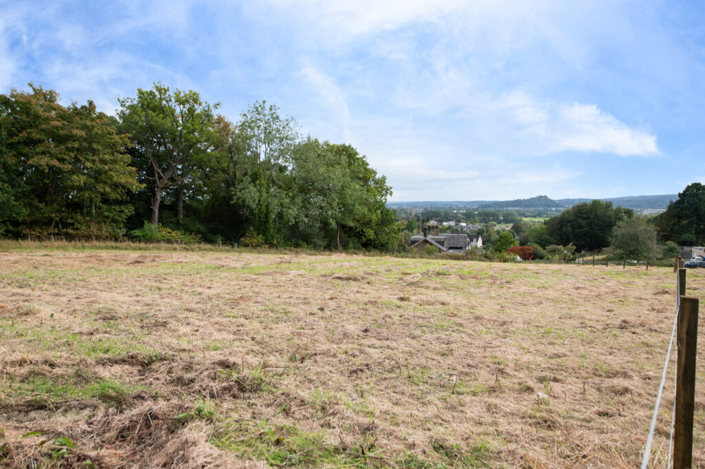 PLOT 3