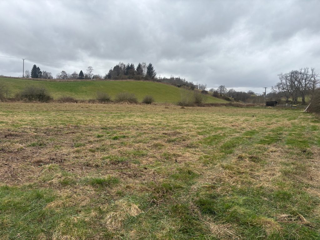 Pitcairngreenphoto.jpg