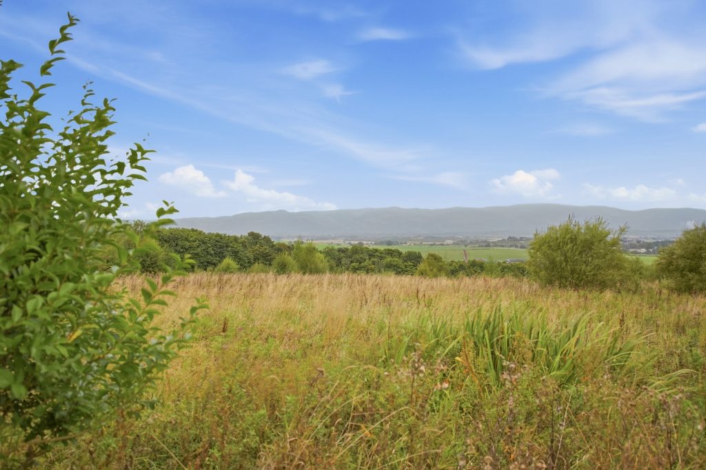 35_the_steadings_00001.jpg